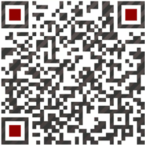 the qr code